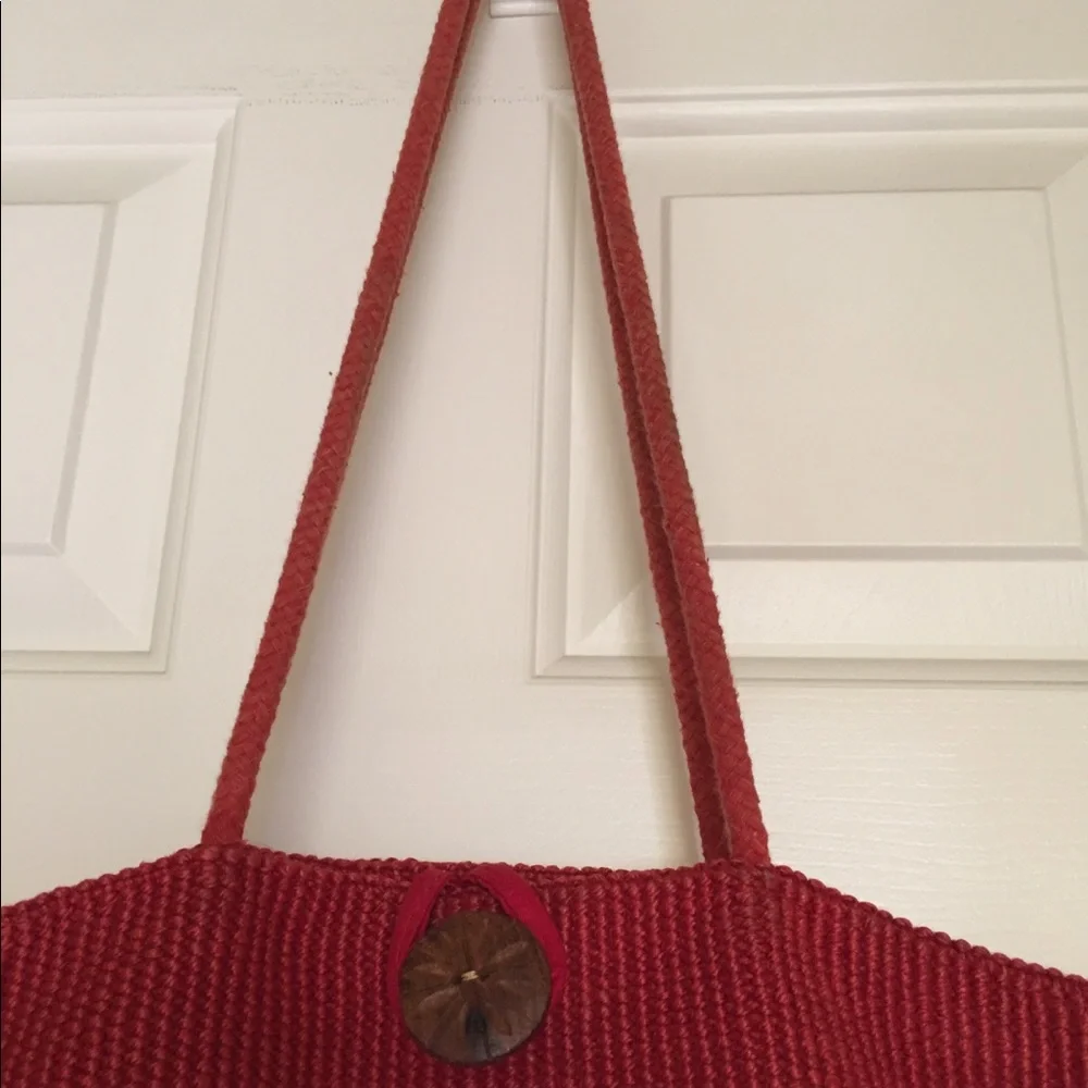 Cost Plus World Market this bag